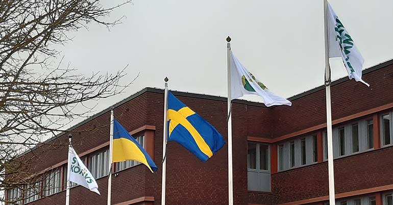 Flaggning utanför kommunhuset, inklusive den ukrainska flaggan