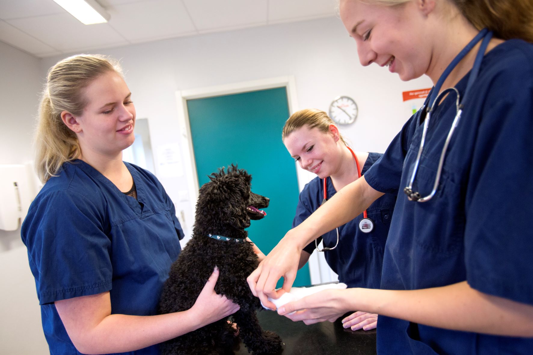 Svalöfs gymnasium har en egen veterinärklinik